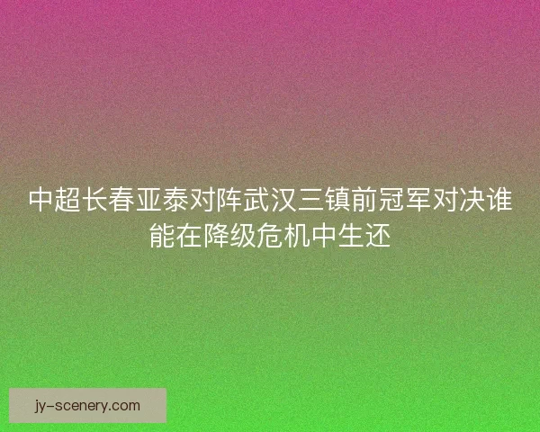 中超长春亚泰对阵武汉三镇前冠军对决谁能在降级危机中生还