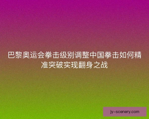 巴黎奥运会拳击级别调整中国拳击如何精准突破实现翻身之战