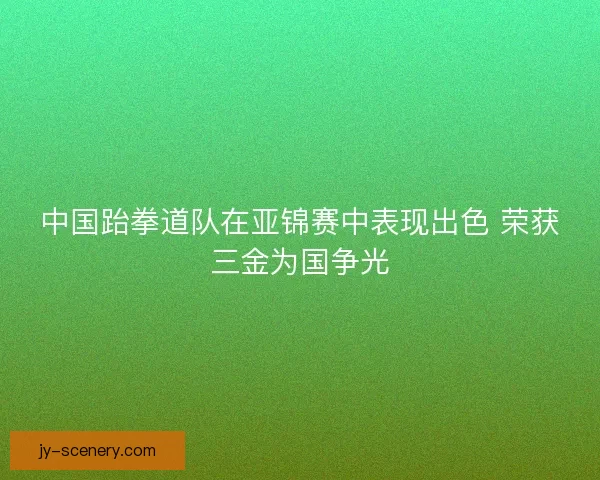 中国跆拳道队在亚锦赛中表现出色 荣获三金为国争光