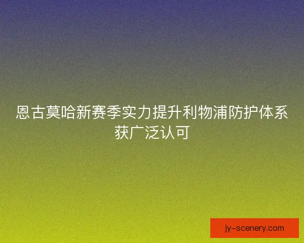 恩古莫哈新赛季实力提升利物浦防护体系获广泛认可